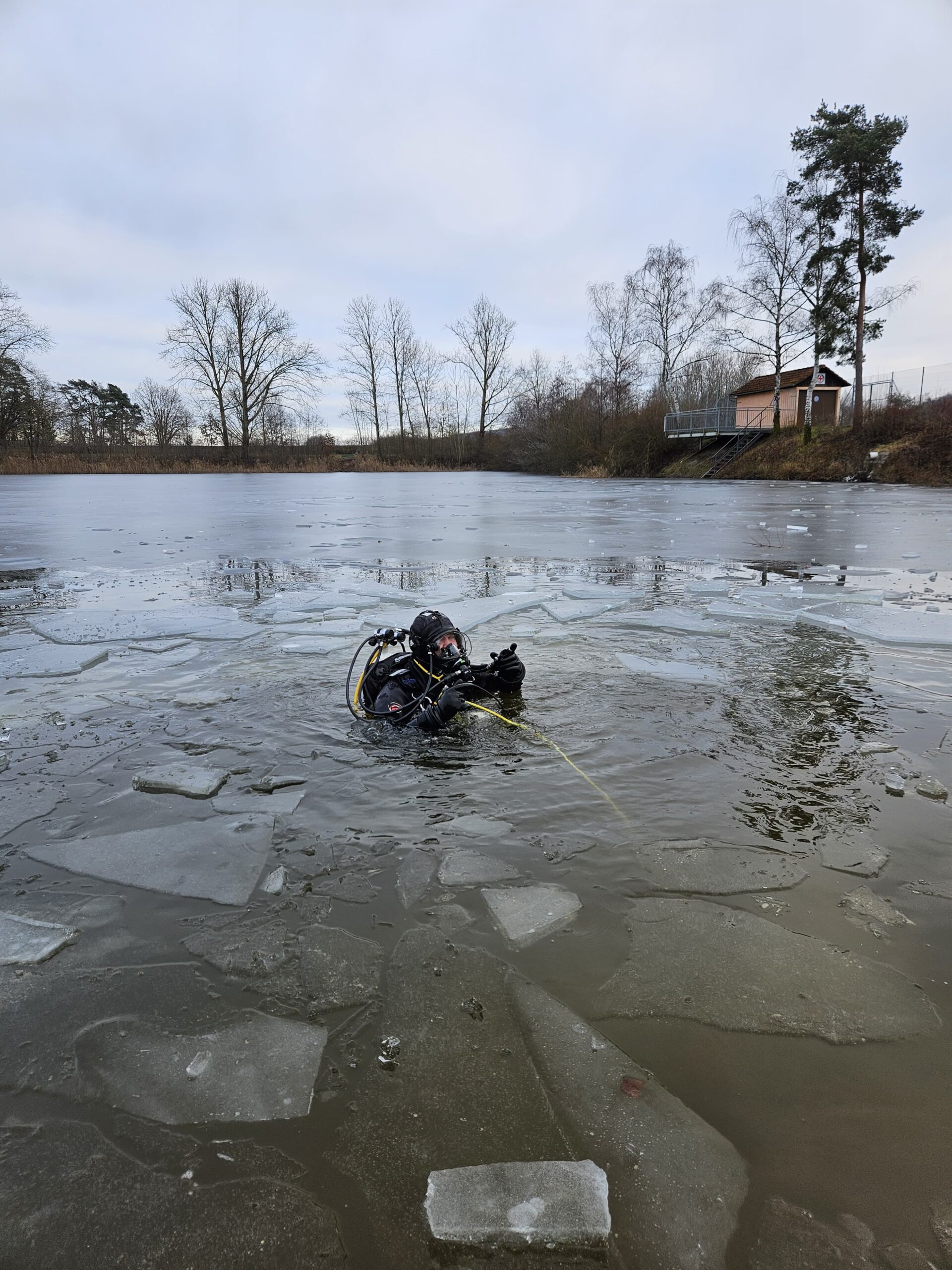 Eistauchgang am Forsterweiher
